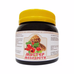 Мастерская Молодости