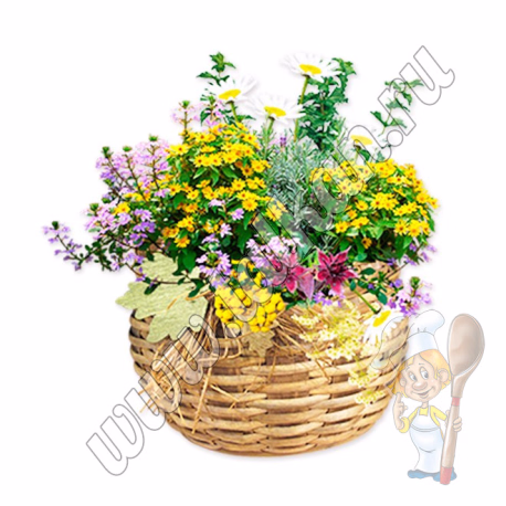 Монастырский сбор для глаз (наружно)