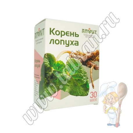 Корень лопуха